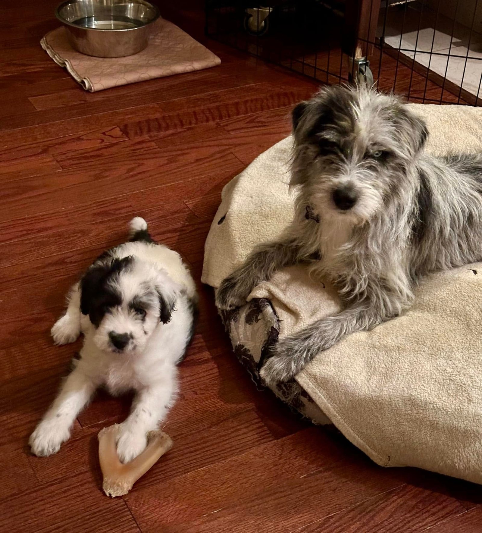 Maisie y su bebe