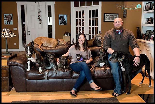 Pareja adoptó a tantos perros Pareja adoptó a tantos perros