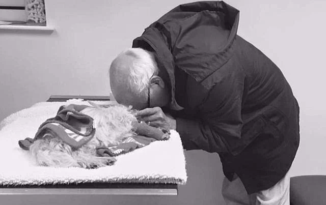 Hombre llora la muerte de su perra