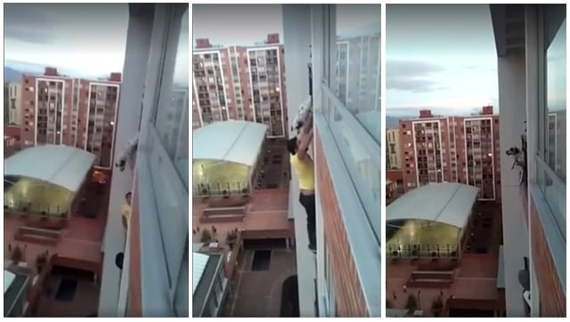 Hombre salva a un perro de caer al vacío Hombre salva a un perro de caer al vacío