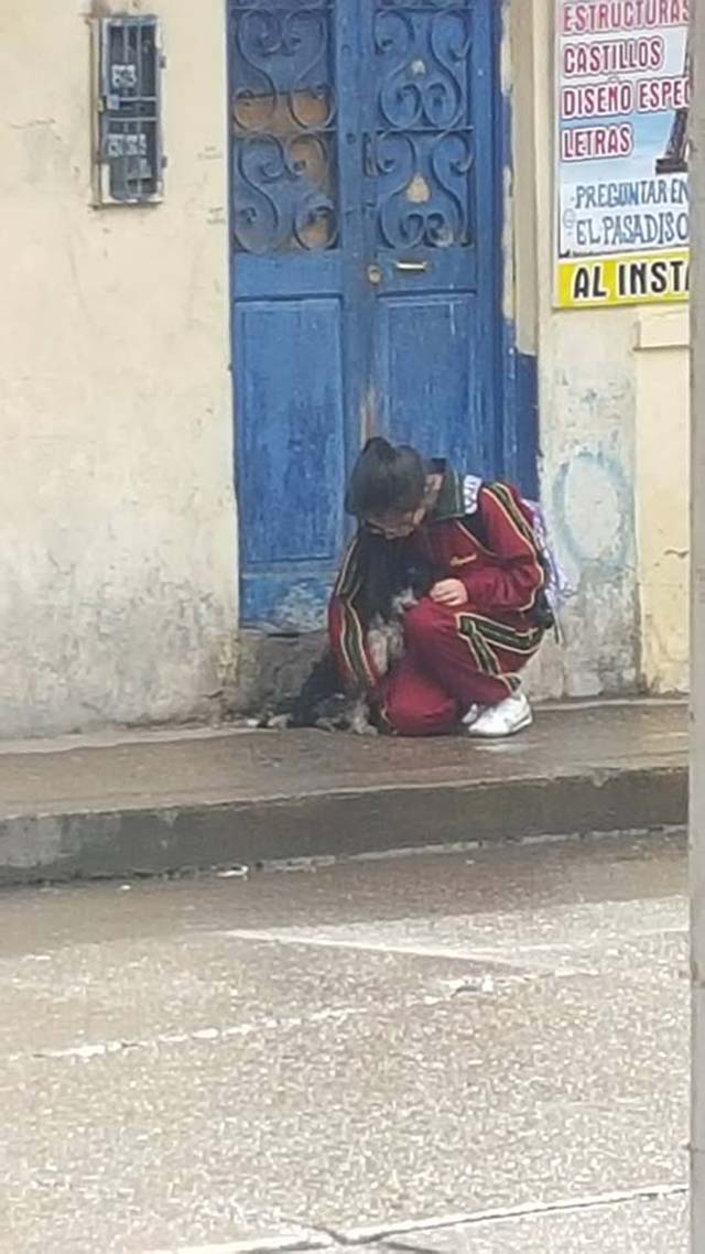 Niña protege a un perro