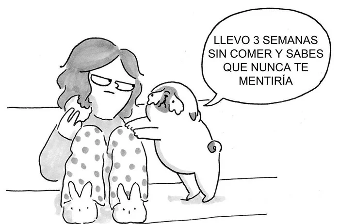 Situaciones que viven las madres humanas de los perros