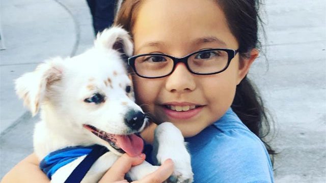 Niña con discapacidad auditiva enseña a su perro sordo el lenguaje de señas