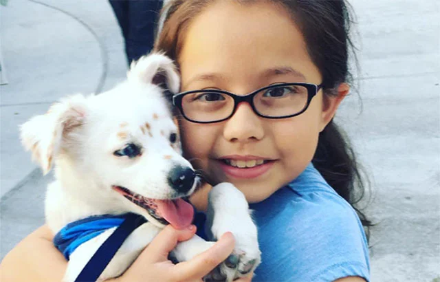 Niña con discapacidad auditiva enseña a su perro sordo el lenguaje de señas