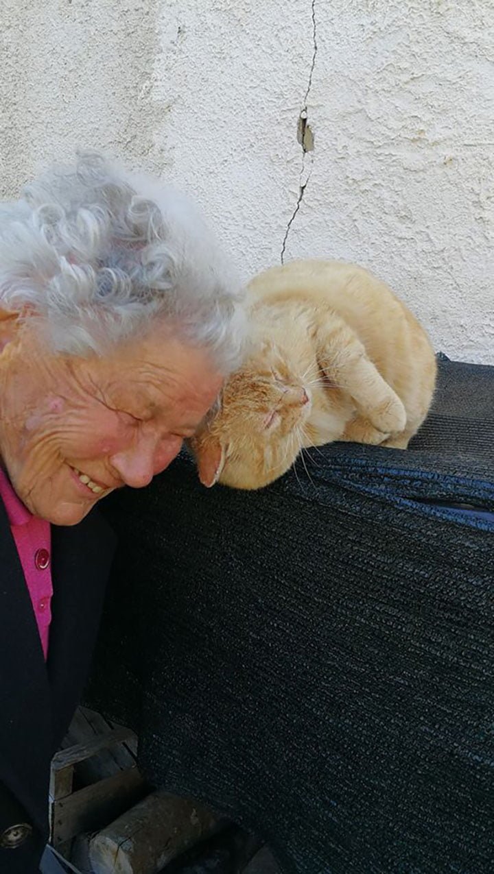 anciana encuentra a su gato desaparecido luego de años