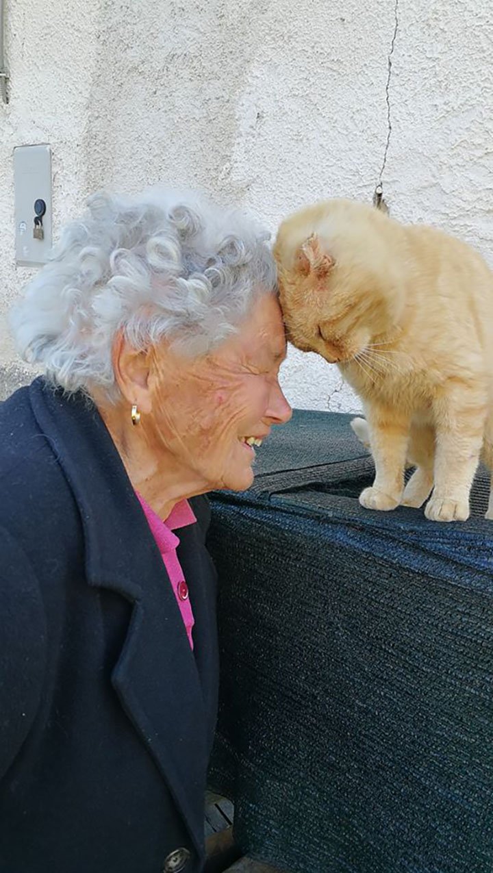 anciana encuentra su gato perdido desde hace 4 años