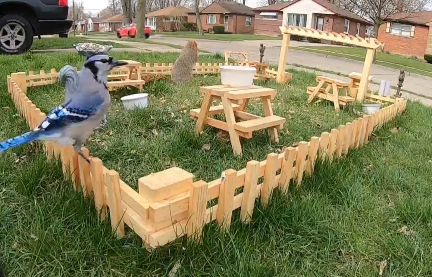 Hombre construye un pequeño restaurante para animales en su patio