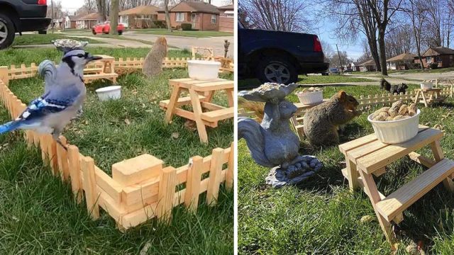 Hombre construye un pequeño restaurante para animales en su patio