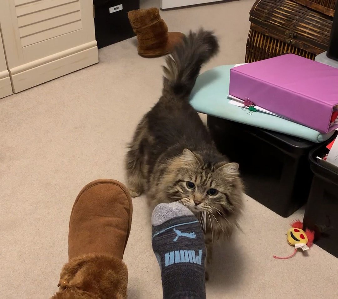 Lulu lleva zapatilla a su madre