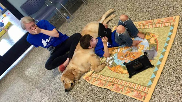 Niño con autismo conoce a su perro de servicio