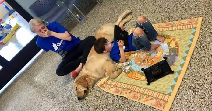 Niño con autismo conoce a su perro de servicio