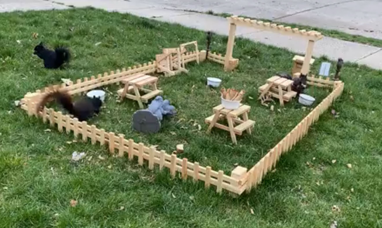 ardillas disfrutan pequeño restaurante que un hombre construyó en su patio