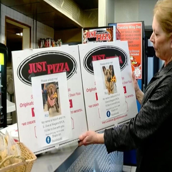 campaña de pizzeria para ayudar perros sin hogar