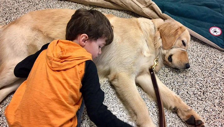 niño autista y su perro de servicio jugando
