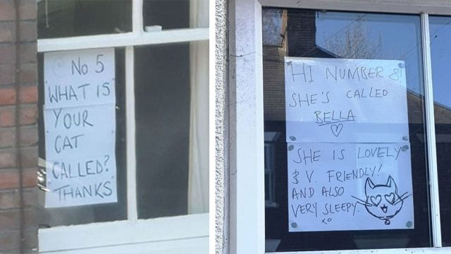 Personas conocen a las mascotas de sus vecinos por letreros en sus ventanas