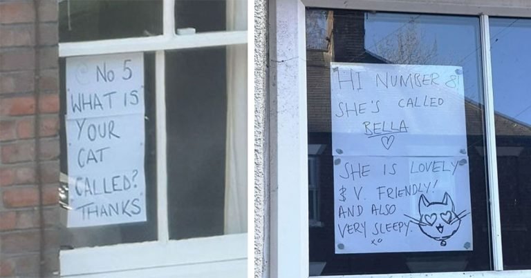Personas conocen a las mascotas de sus vecinos por letreros en sus ventanas