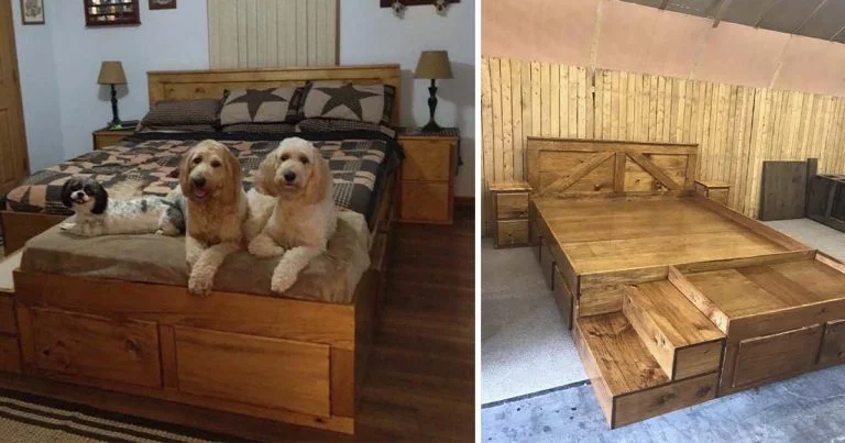 Empresa fabrica camas que incluyen como complemento camas de mascotas