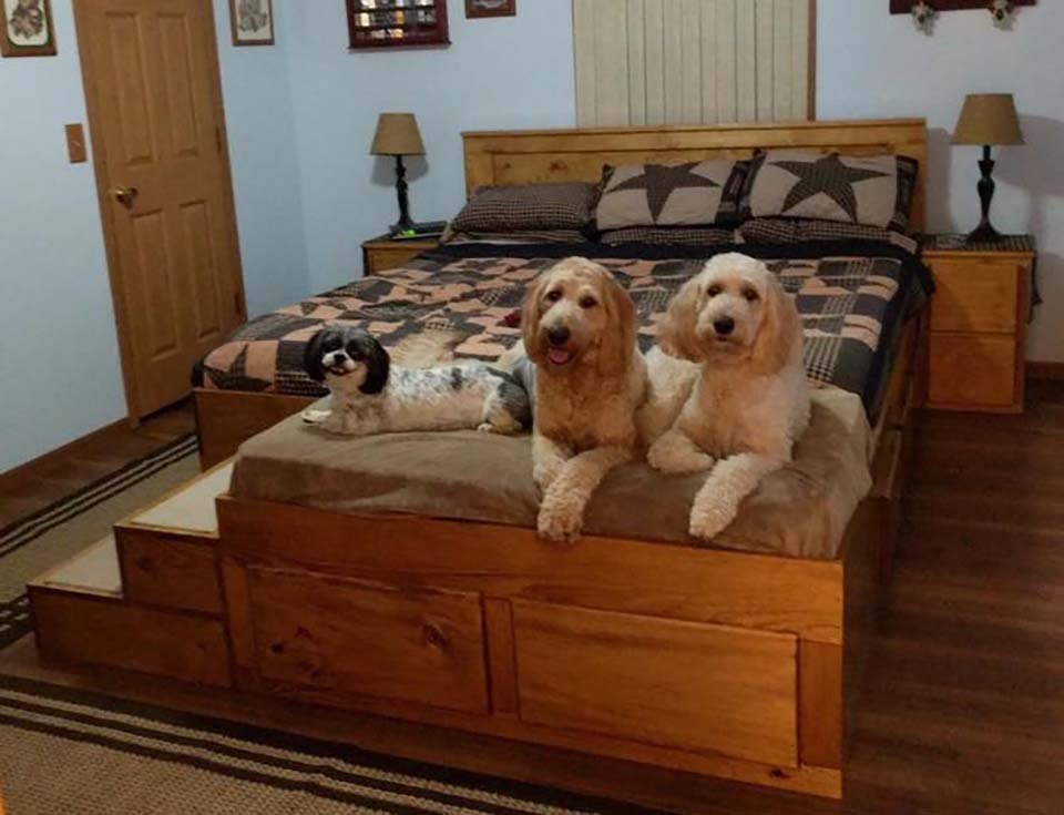 empresa fabrica camas para mascotas