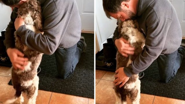 perro entrena a su familia para recibir abrazo