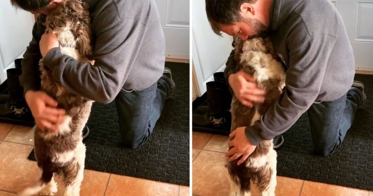 perro entrena a su familia para recibir abrazo
