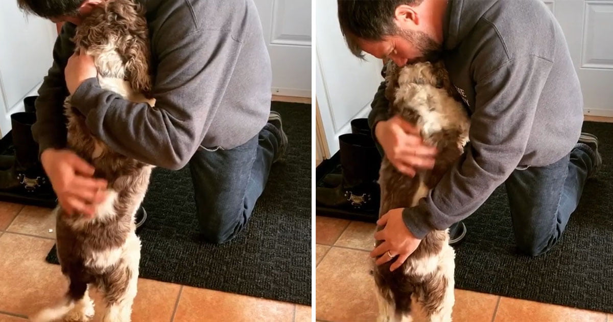 perro entrena a su familia para recibir abrazo