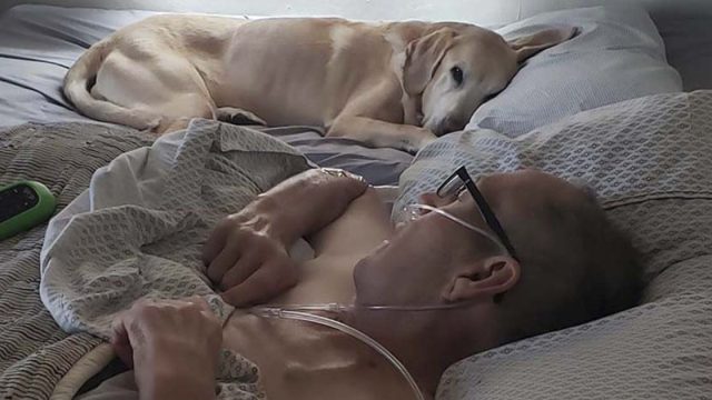 veterano y su fiel perro