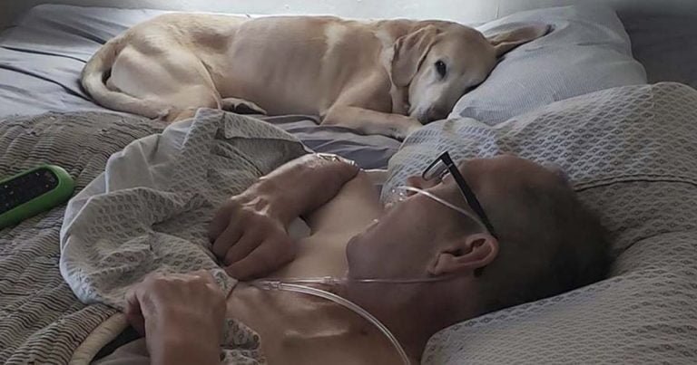 veterano y su fiel perro