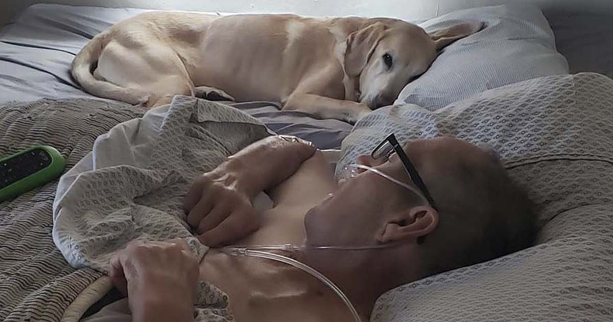 veterano y su fiel perro