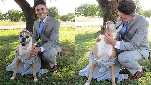 Adolescente celebra baile de graduación con su perro