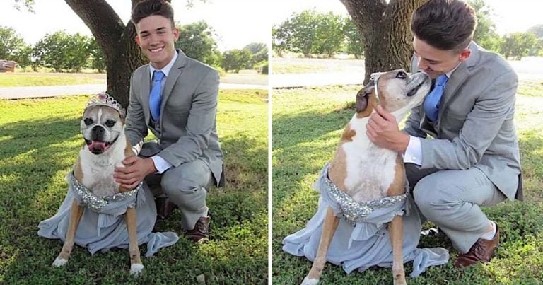 Adolescente celebra baile de graduación con su perro
