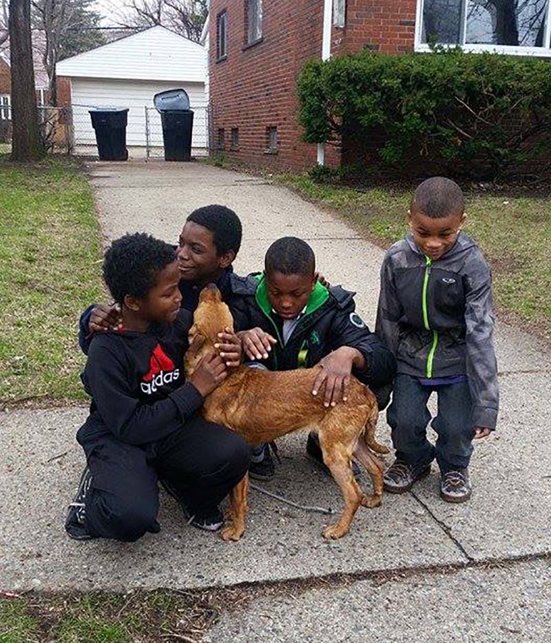 Cuatro niños heroicos perrita