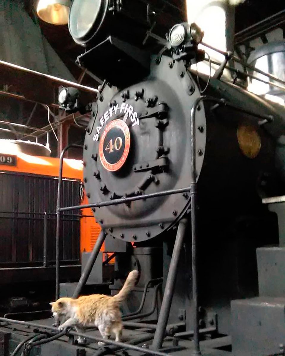 Dirt el gato del ferrocarril