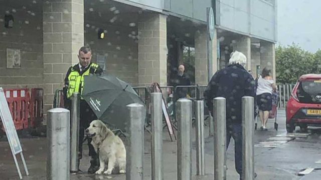 Guardia de seguridad y mascota