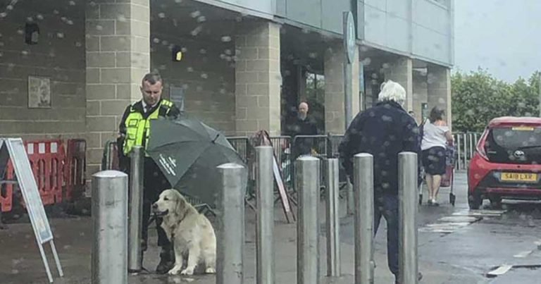 Guardia de seguridad y mascota