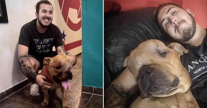 Hombre adoptó a un perro con un tumor
