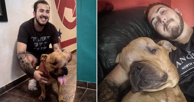 Hombre adoptó a un perro con un tumor
