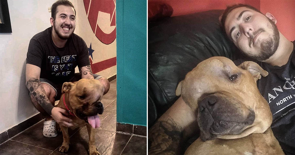 Hombre adoptó a un perro con un tumor