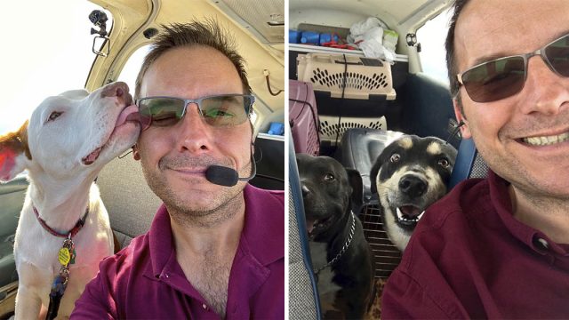 Hombre compró avión salvar animales