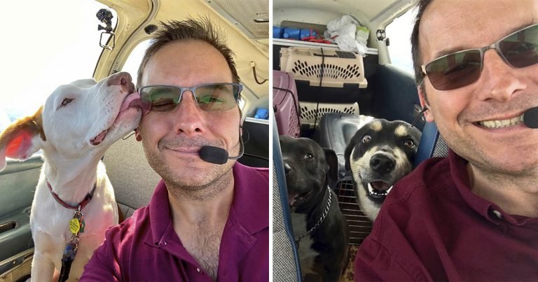 Hombre compró avión salvar animales