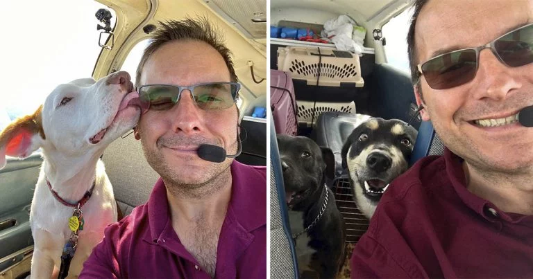 Hombre compró avión salvar animales