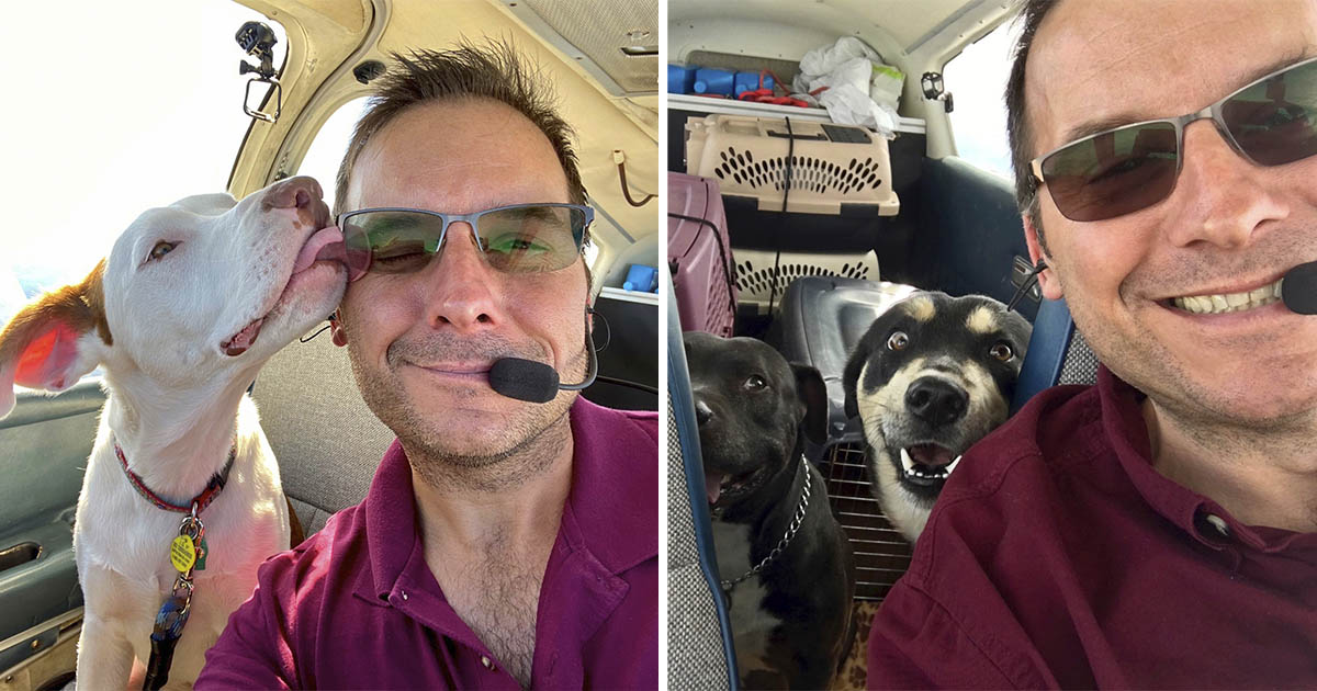 Hombre compró avión salvar animales