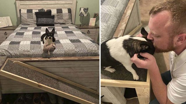 Hombre construye una rampa para perro mayor