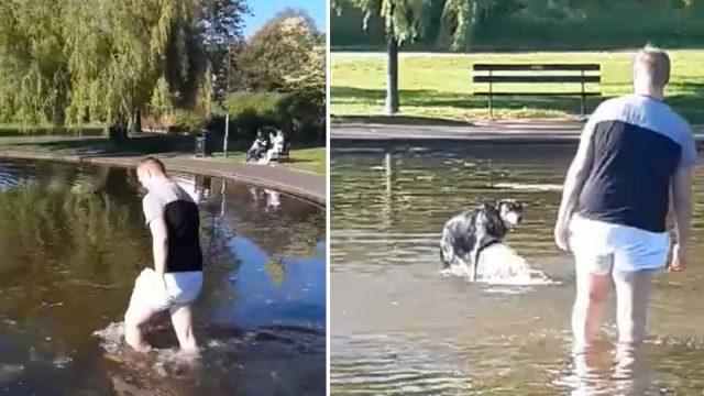 Hombre entra al estanque para sacar a su perro