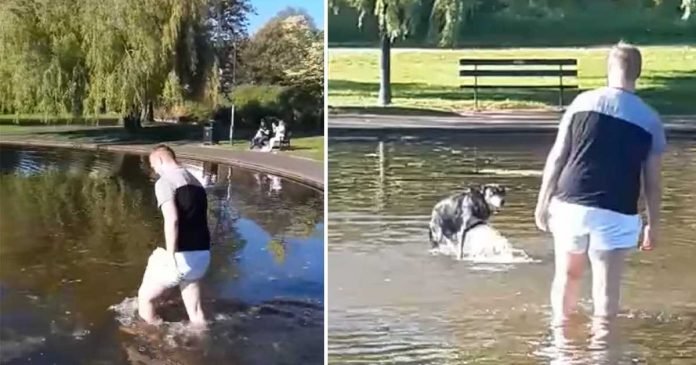Hombre entra al estanque para sacar a su perro
