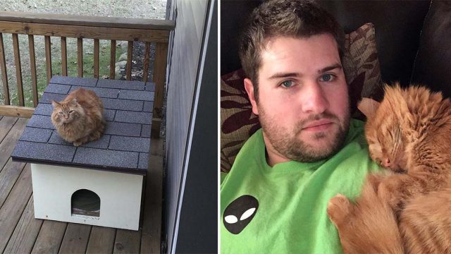 Hombre espera 1 año para hacerse amigo de un gato