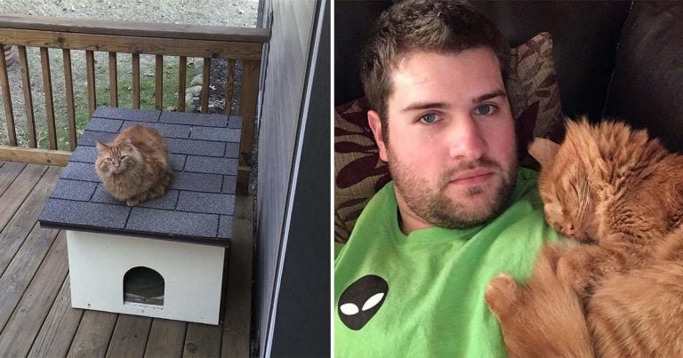 Hombre espera 1 año para hacerse amigo de un gato