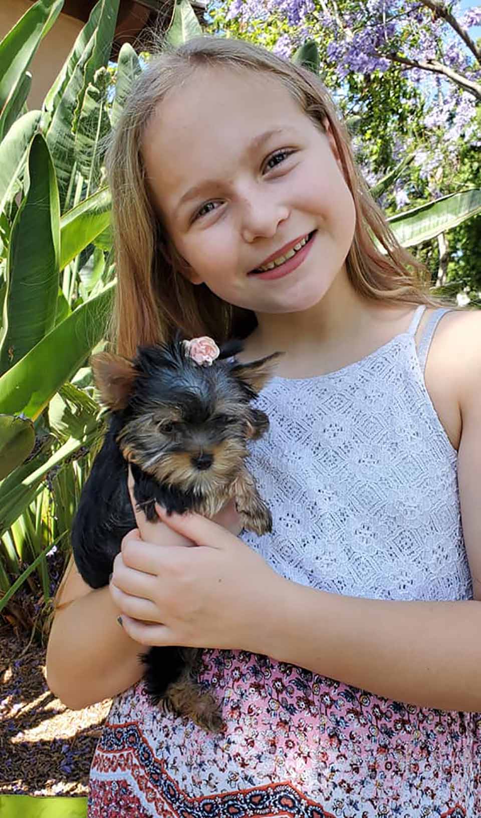 Niña y cachorro