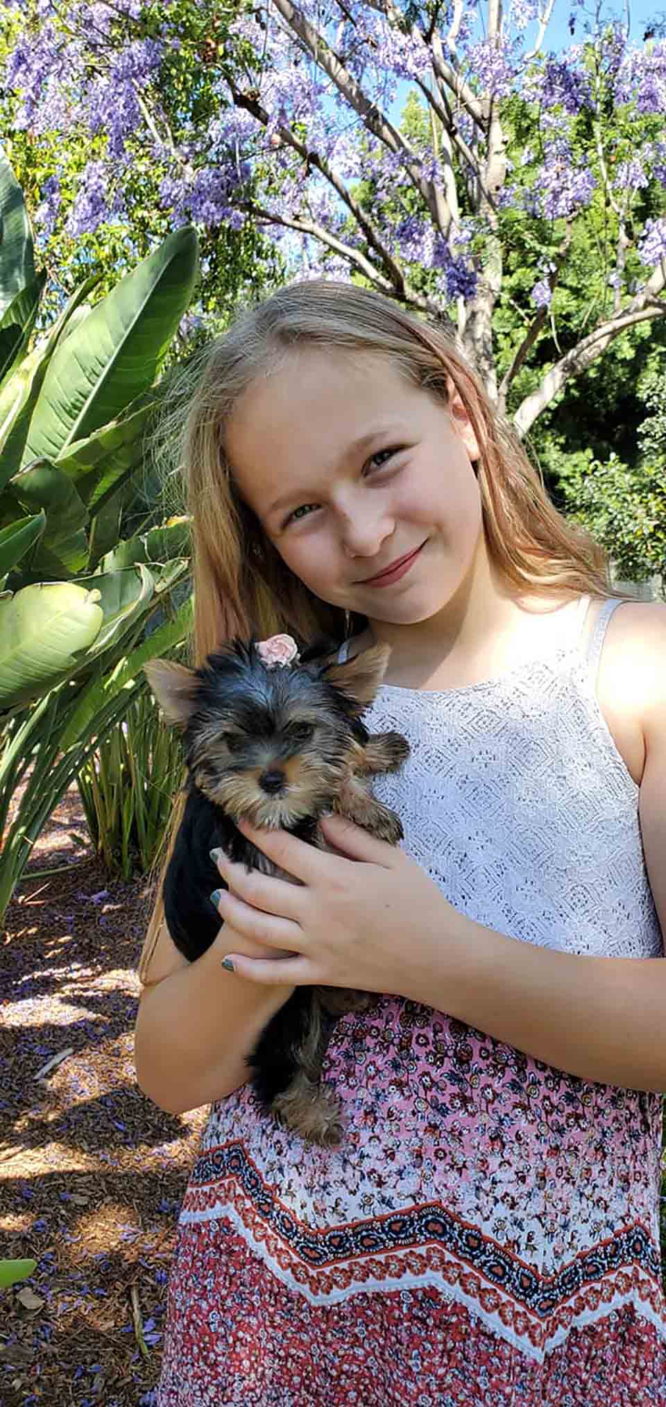 Niña y su mascota