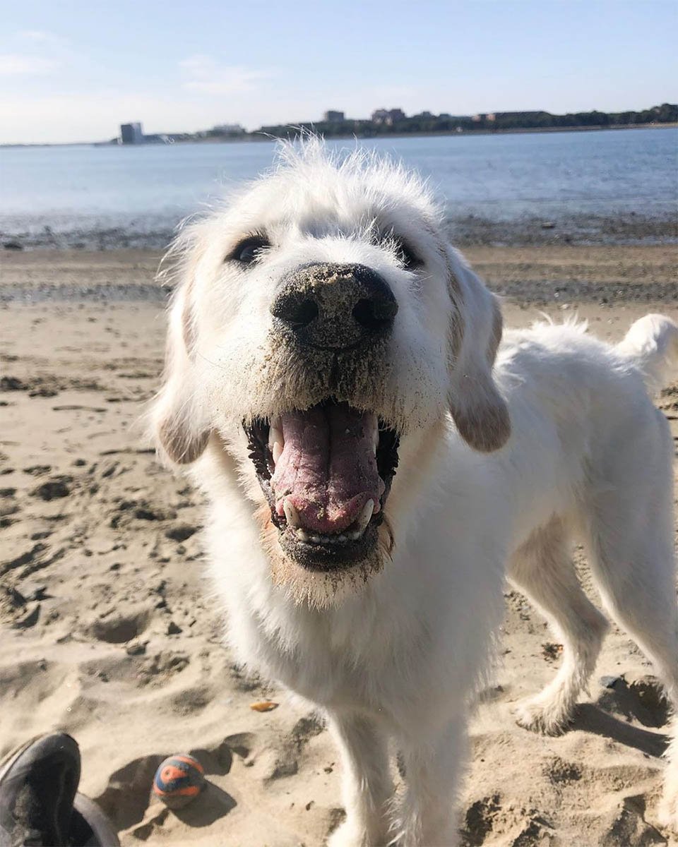 Paul en la playa