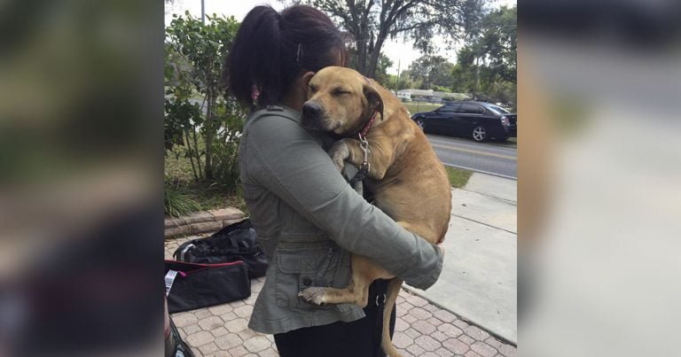 Perrita asustada abraza rescatistas